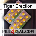 Tiger Erection new10